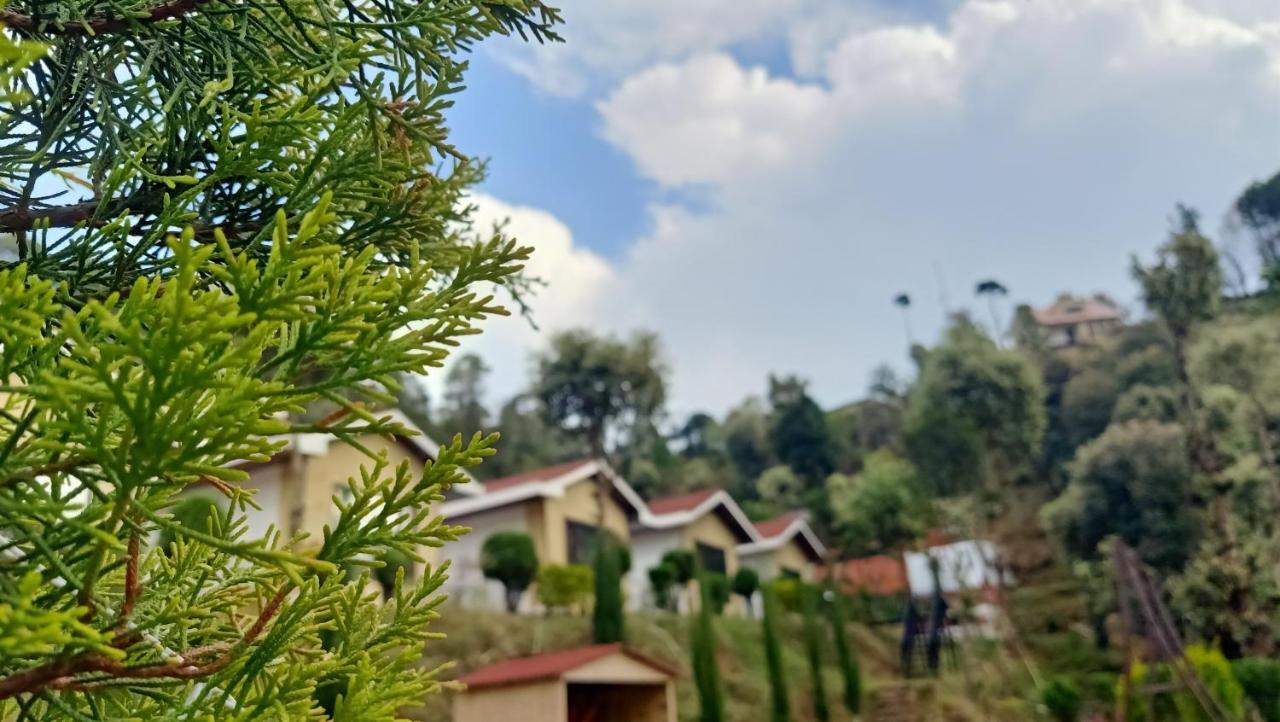 Skywood Resort Shoghi Shogi المظهر الخارجي الصورة